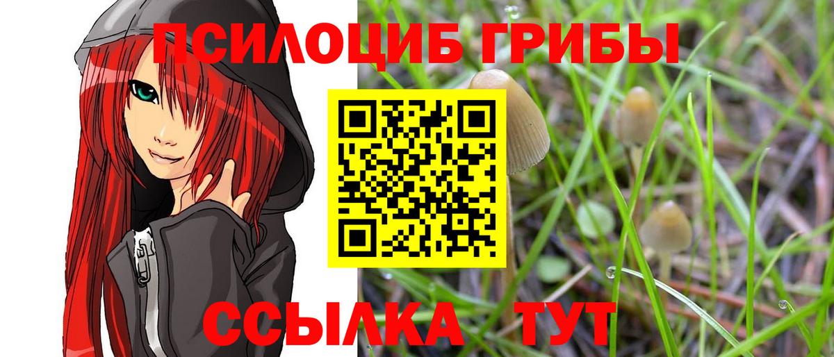 Псилоцибиновые грибы прущие грибы Пушкино