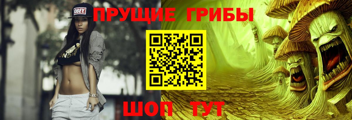 Псилоцибиновые грибы мицелий  Вход с VPN  Пушкино 
